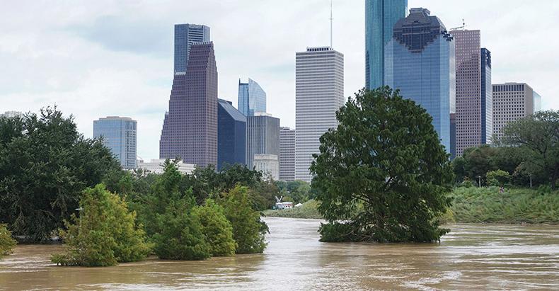 city with brown water