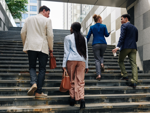 People going up steps for academic photo