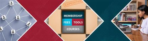 Designation Bundle Blog Header highres